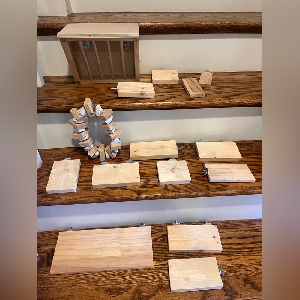 Brand new Chinchilla Cage supplies